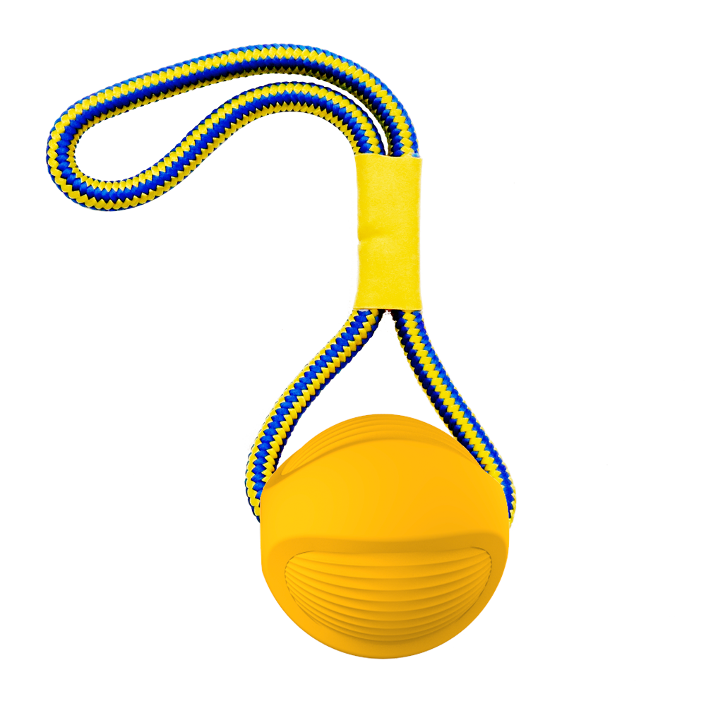 Interactive Ball Toy for Dogs