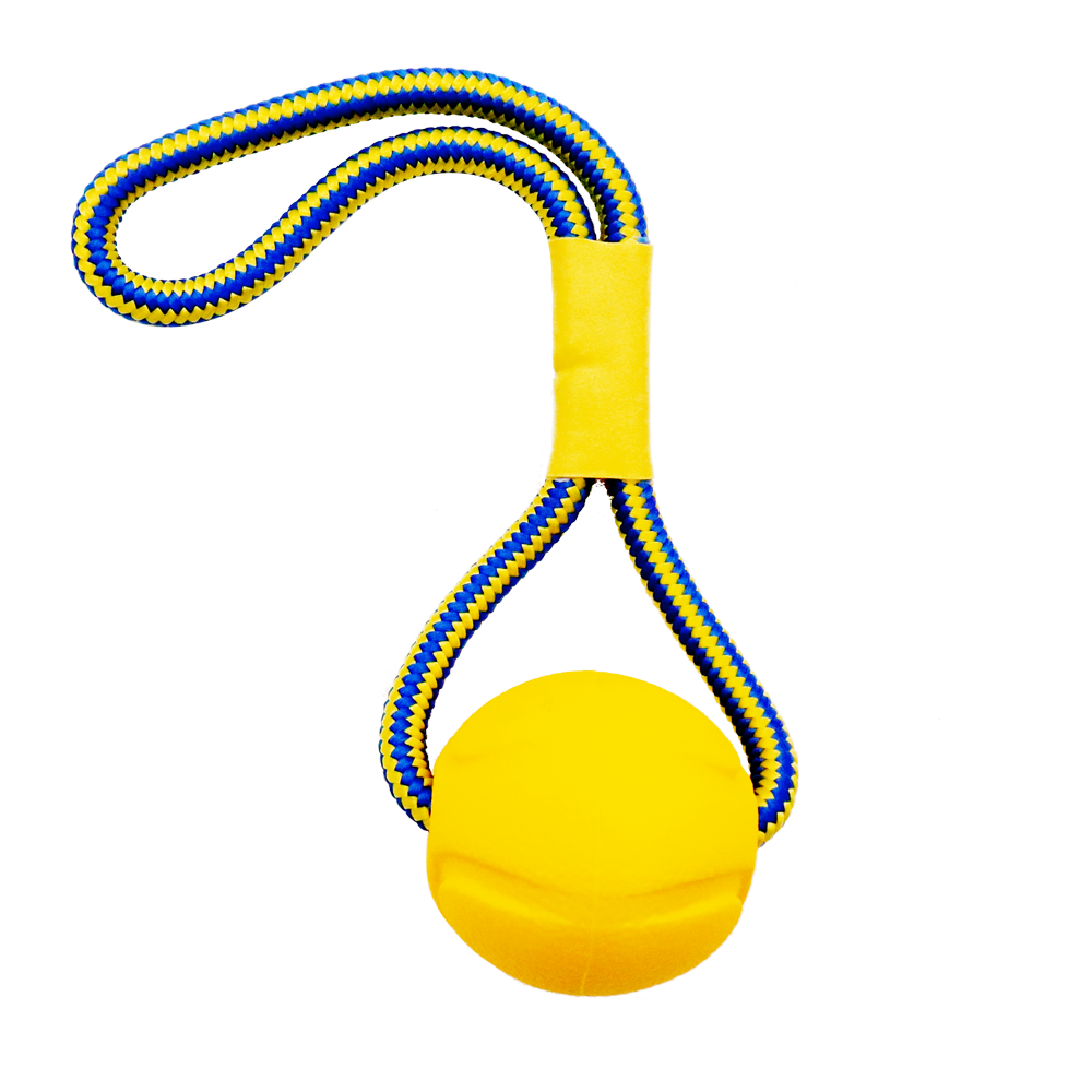 Interactive Ball Toy for Dogs